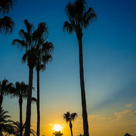 Oz Incekum Alanya